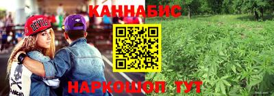 прущие крисы Малгобек