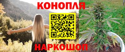 прущие крисы Малгобек