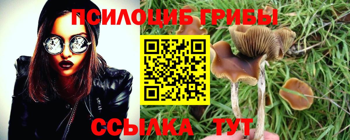 Галлюциногенные грибы мухоморы Удомля